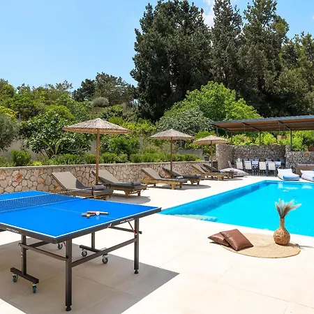 Gga Albatross * Afantou