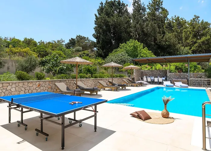 Gga Albatross * 阿凡投